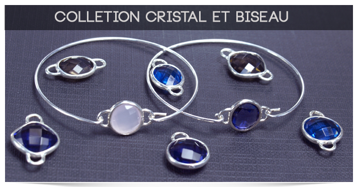 biseles_banner_fr