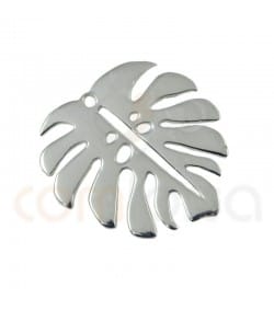 Colgante hoja de monstera 17 x 15 mm plata 925