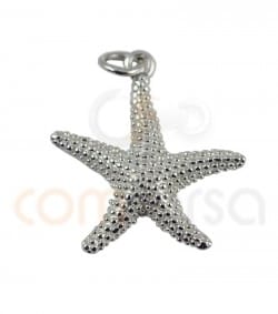 Colgante estrella de mar 20mm plata 925 chapada en oro