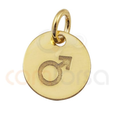 Sterling silver 925 gold-plated male pendant 11 mm