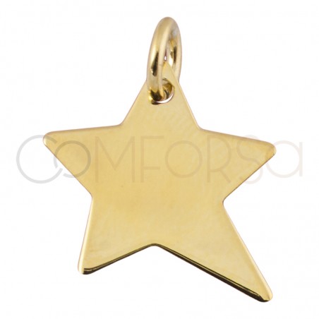 Colgante estrella irregular 13 mm plata 925 chapada en oro