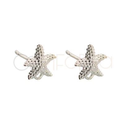 Fornitura aretes estrella...