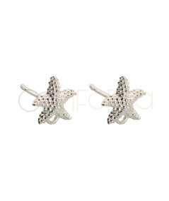 Fornitura aretes estrella de mar 12mm plata 925