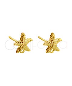 Fornitura aretes estrella de mar 12mm plata chapada en oro