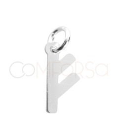 Colgante runa Fehu 4 x 9.6mm Plata 925