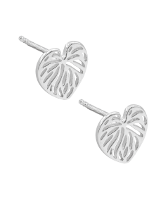 Pendientes hoja monstera calado 10 X 10 mm Plata 925