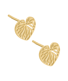 Aretes hoja monstera calado 10mm Plata chapada en oro