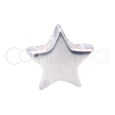 Entrepieza estrella de plata